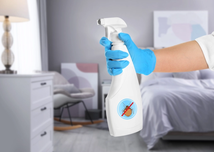 Destruction nid punaise de lit Dübendorf – Détection et traitement 8600 Zurich